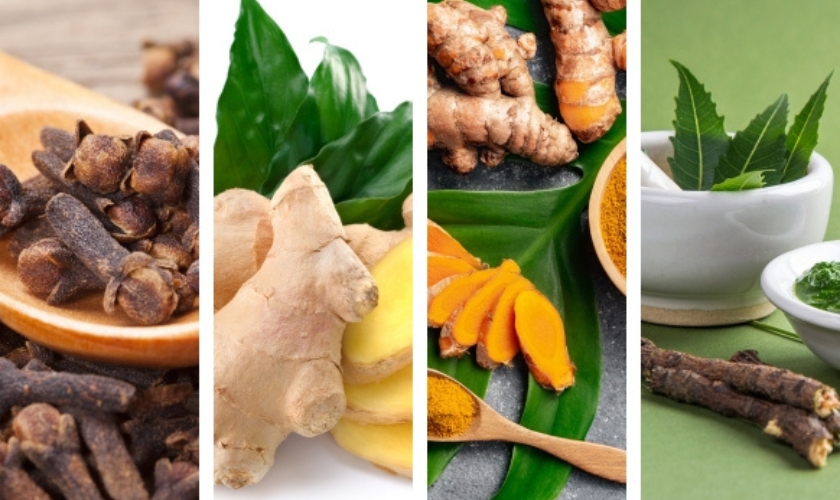 Natural Remedies for Tooth Infection